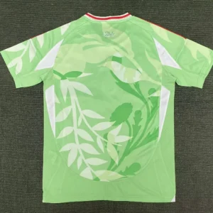 2025 Italy Training Uniform Soccer Shirt 1:1 Thai Quality