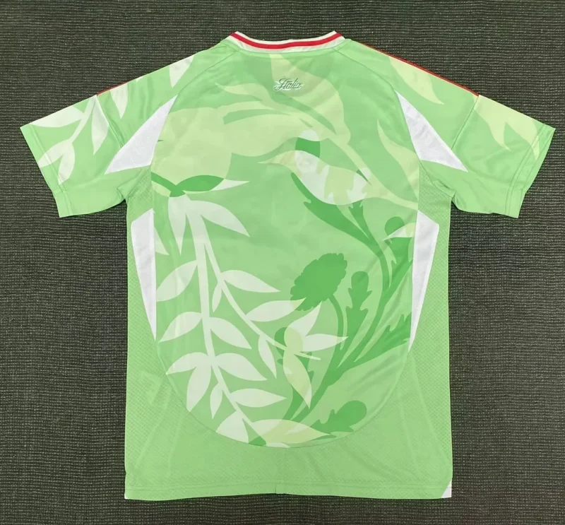 2025 Italy Training Uniform Soccer Shirt 1:1 Thai Quality