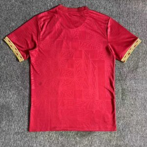 2025 Mexico National Team Special Edition Red Football Shirt 1:1 Thai Quality