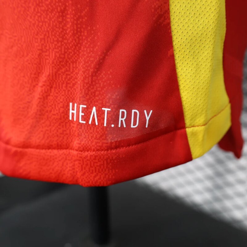 2024 Player Version Spain National Team Home Football Shirt  1:1 Thai quality