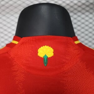 2024 Player Version Spain National Team Home Football Shirt  1:1 Thai quality