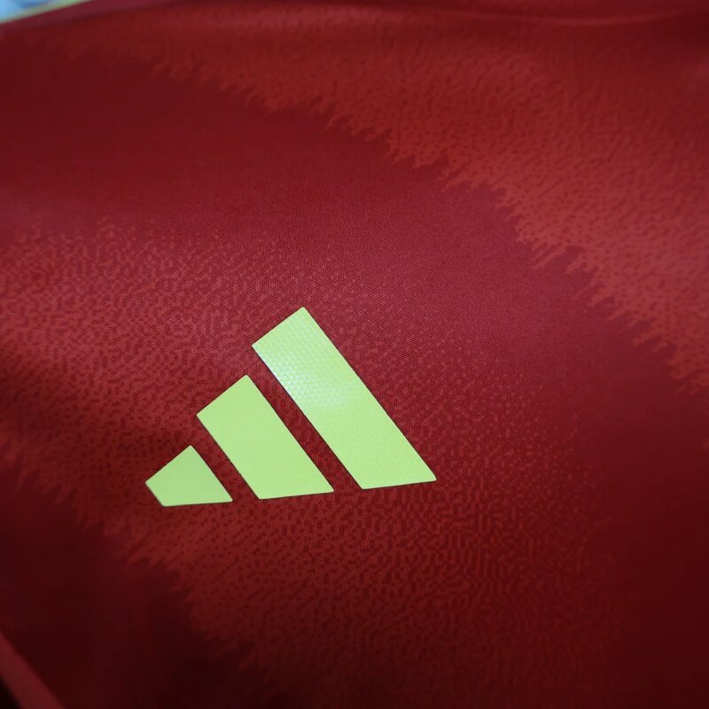 2024 Player Version Spain National Team Home Long Sleeve Football Shirt  1:1 Thai quality