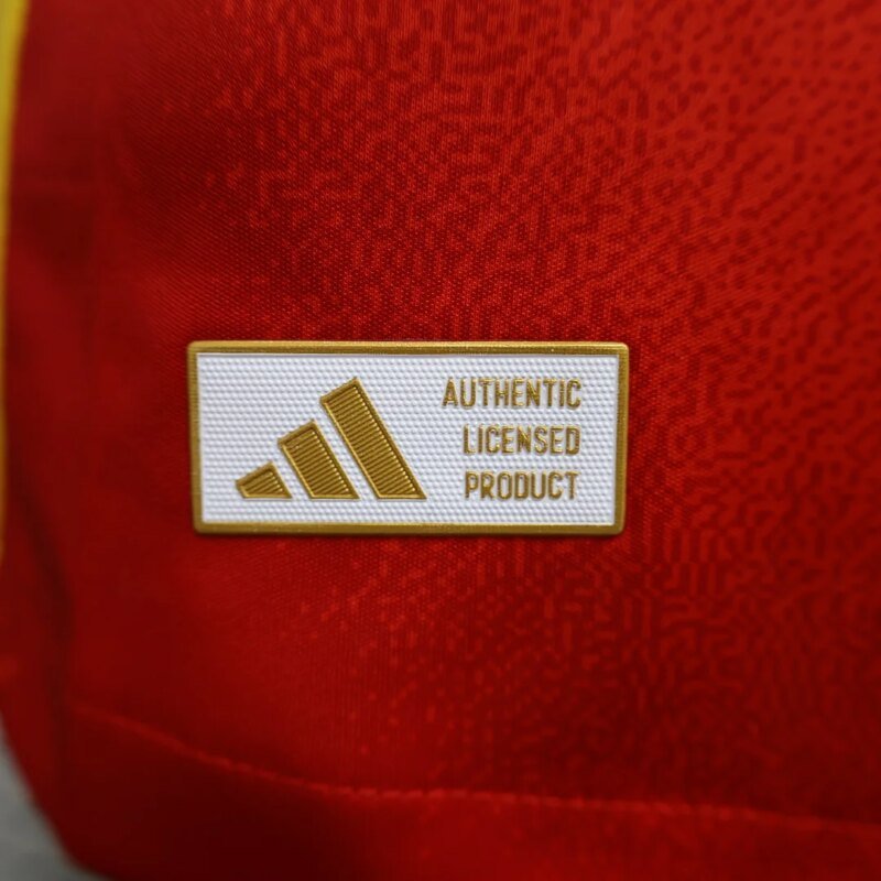 2024 Player Version Spain National Team Home Long Sleeve Football Shirt  1:1 Thai quality