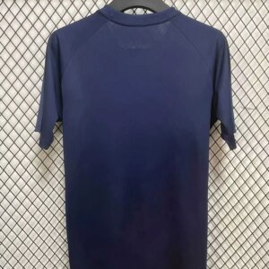 2024/2025 Porto Dragon Dragons Commemorative Football Shirt 1:1 Thai Quality