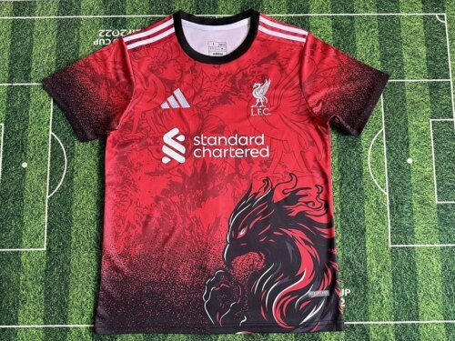 2024/2025 Liverpool Special Edition Red Soccer Jersey 1:1 Thai Quality