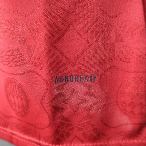 2025/2026 Player Version Bayern Munich 125th Anniversary Edition Red Long Sleeve Football Shirt 1:1 Thai Quality