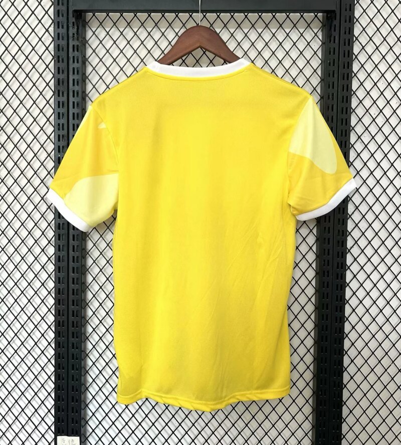 2025 Brazil City Special Edition Soccer Jersey 1:1 Thai Quality
