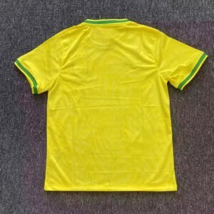 2025 Brazil Special Edition Bird Yellow Soccer Jersey 1:1 Thai Quality