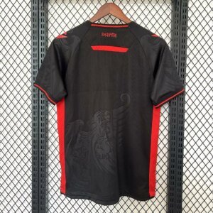 2025/2026 Albania National Team Third Away Football Shirt 1:1 Thai Quality